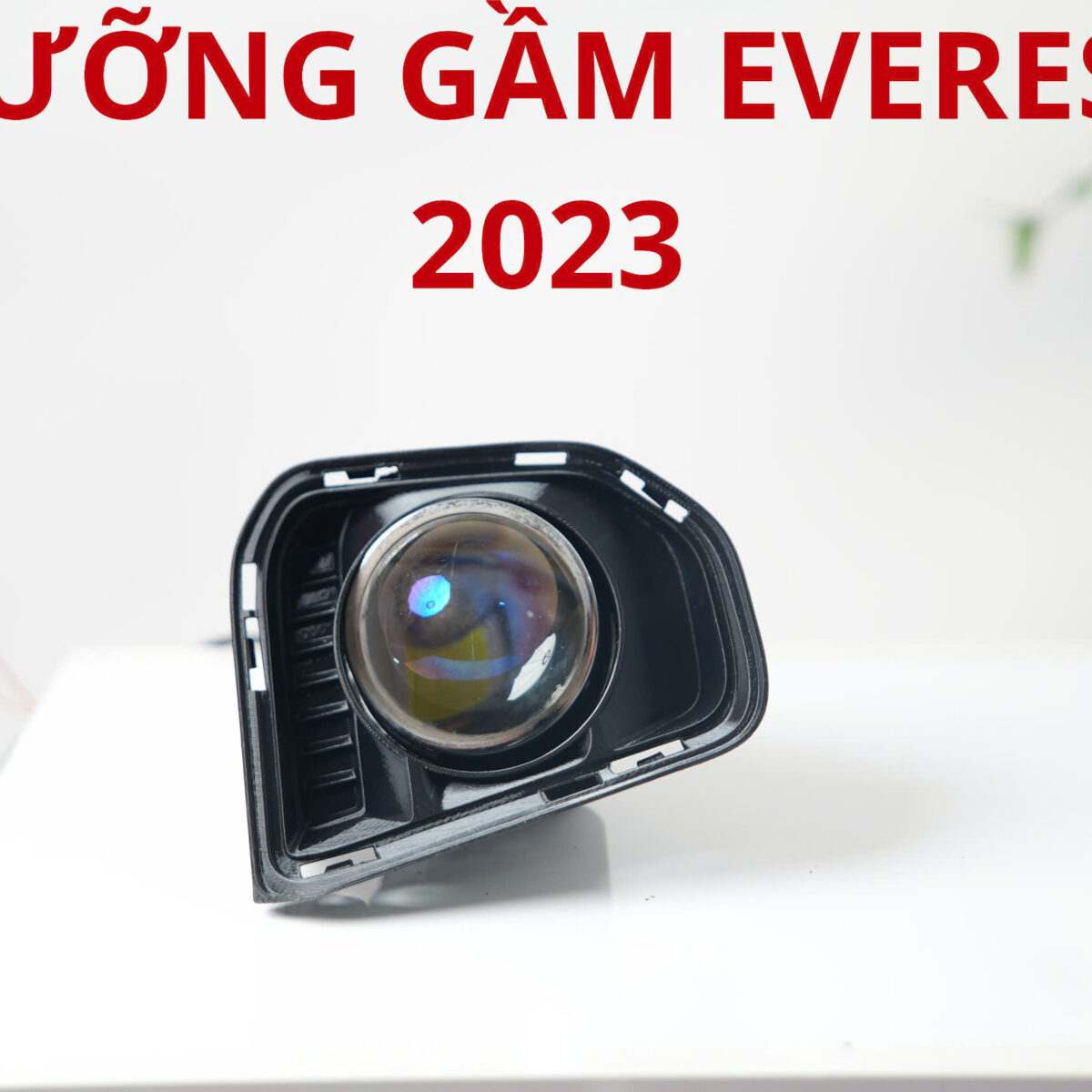 Everest 2022-2024