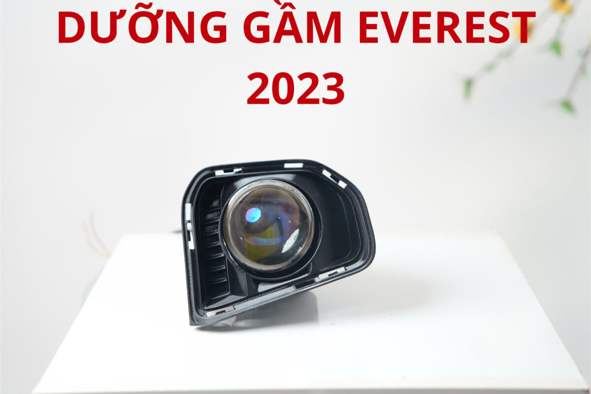 Everest 2022-2024