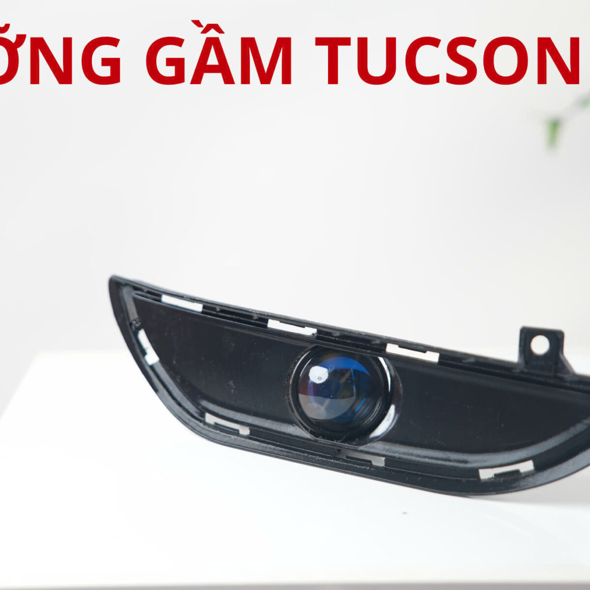 Tuson 2 bi