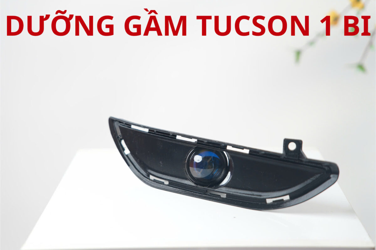 Tuson 2 bi