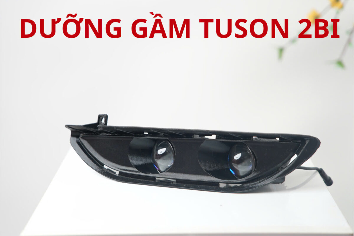 tucson 4bi